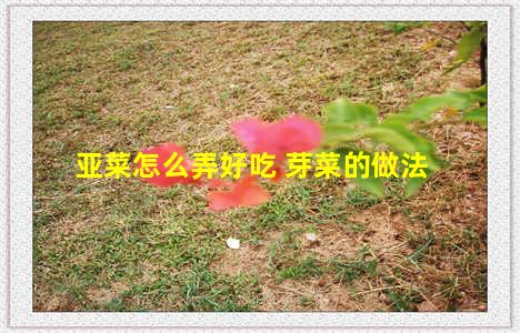 亚菜怎么弄好吃 芽菜的做法